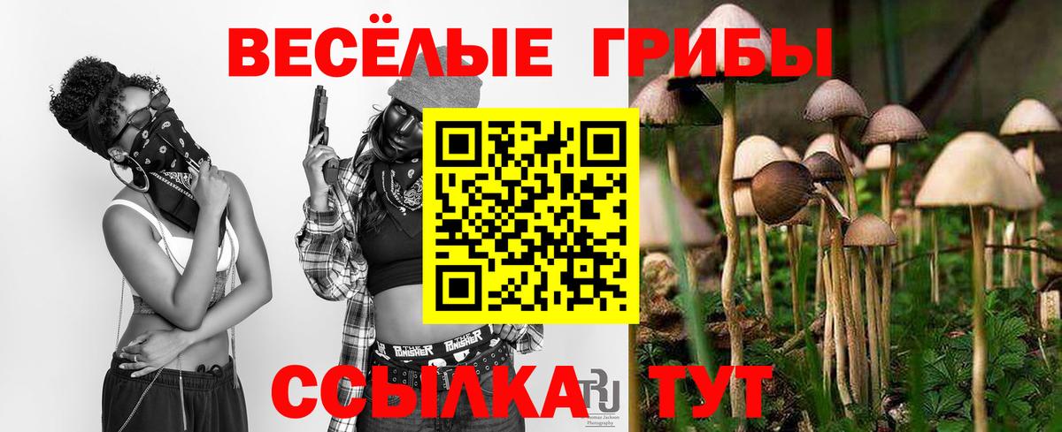 Псилоцибиновые грибы Magic Shrooms  Вход с VPN  Южноуральск 
